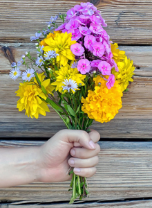 Bukett med blommor och hand, tack! Foto: Mostphotos